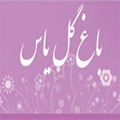 تالارپذیرایی باغ گل یاس - ad1-v-cs-19