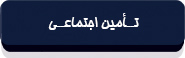 قانون مدیریت خدمات کشوری-13