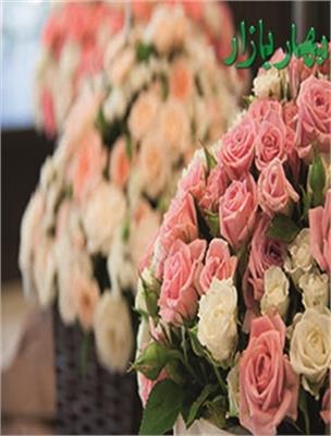 گل فروشی گلستان مقدم 128